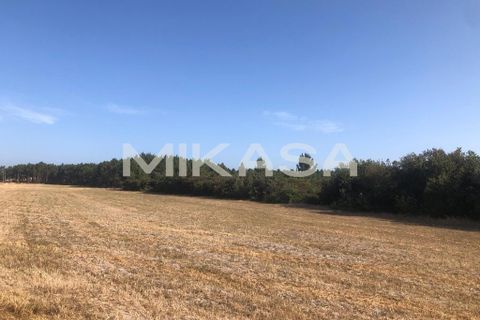 Helårsgrund i Rogil, Faro, Rogil - € 110.000 | Ref: T105 - foto 18
