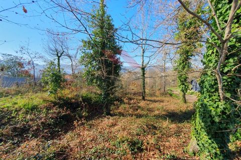Helårsgrund i Azere, Viana do Castelo, Azere - € 60.000 | Ref: AVV-2273-EA-0124 - foto 3
