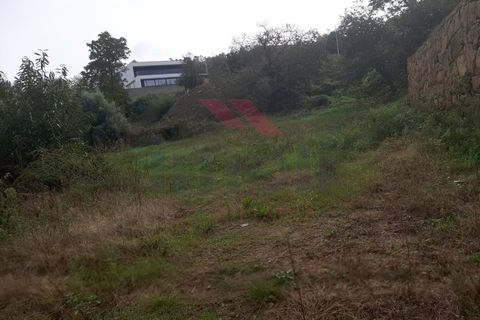 Helårsgrund i Ponte de Lima, Viana do Castelo, Ponte de Lima - € 76.000 | Ref: PTL-1157-RV-0124 - foto 3