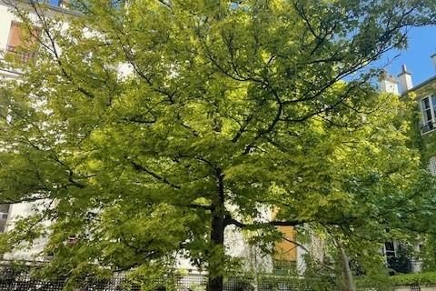 Lejlighed i Paris, Paris, Paris - € 530.000 | Ref: A5194 - foto 1