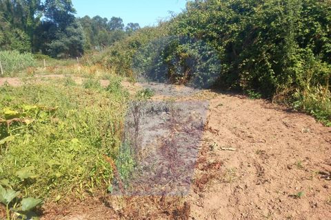 Terra a Barro, Aveiro, Barro - € 10.000 | Ref: TER_1038 - foto 2