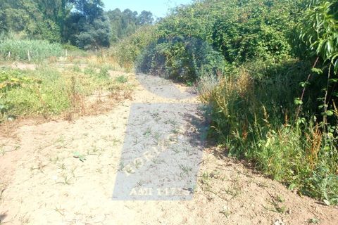 Terra a Barro, Aveiro, Barro - € 10.000 | Ref: TER_1038 - foto 3