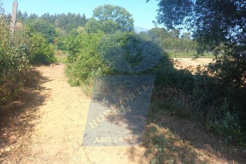 Terra a Barro, Aveiro, Barro - € 10.000 | Ref: TER_1038 - foto 4