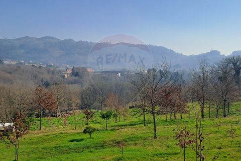 Helårsgrund i Arcos de Valdevez, Viana do Castelo, Arcos de Valdevez - € 860.000 | Ref: 1040-93 - foto 3