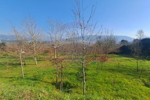 Helårsgrund i Arcos de Valdevez, Viana do Castelo, Arcos de Valdevez - € 860.000 | Ref: 1040-93 - foto 4