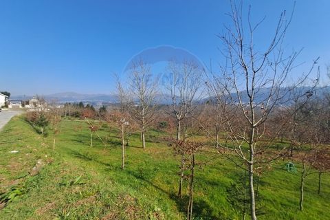 Helårsgrund i Arcos de Valdevez, Viana do Castelo, Arcos de Valdevez - € 860.000 | Ref: 1040-93 - foto 5