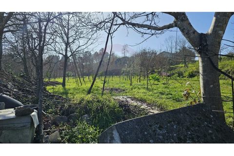 Helårsgrund i Arcos de Valdevez, Viana do Castelo, Arcos de Valdevez - € 860.000 | Ref: 1040-93 - foto 7