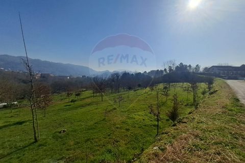 Helårsgrund i Arcos de Valdevez, Viana do Castelo, Arcos de Valdevez - € 860.000 | Ref: 1040-93 - foto 8