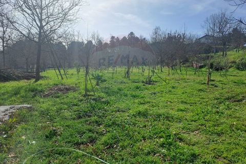 Helårsgrund i Arcos de Valdevez, Viana do Castelo, Arcos de Valdevez - € 860.000 | Ref: 1040-93 - foto 10