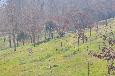 Helårsgrund i Arcos de Valdevez, Viana do Castelo, Arcos de Valdevez - € 860.000 | Ref: 1040-93 - foto 12
