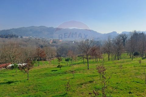 Helårsgrund i Arcos de Valdevez, Viana do Castelo, Arcos de Valdevez - € 860.000 | Ref: 1040-93 - foto 14