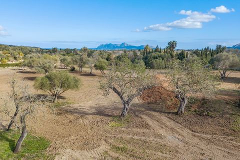 Helårsgrund i Pollenca, Mallorca, Pollenca - € 1.150.000 | Ref: POL0396 - foto 14