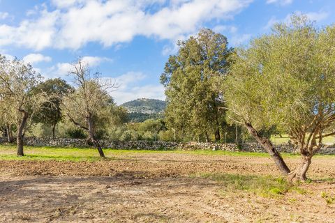 Helårsgrund i Pollenca, Mallorca, Pollenca - € 1.150.000 | Ref: POL0396 - foto 15