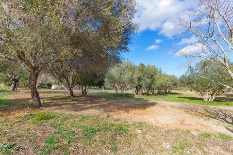 Helårsgrund i Pollenca, Mallorca, Pollenca - € 1.150.000 | Ref: POL0396 - foto 16