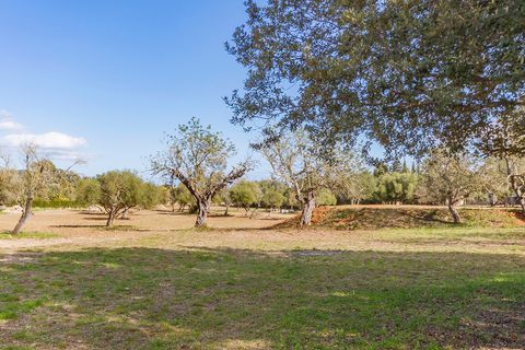 Helårsgrund i Pollenca, Mallorca, Pollenca - € 1.150.000 | Ref: POL0396 - foto 17