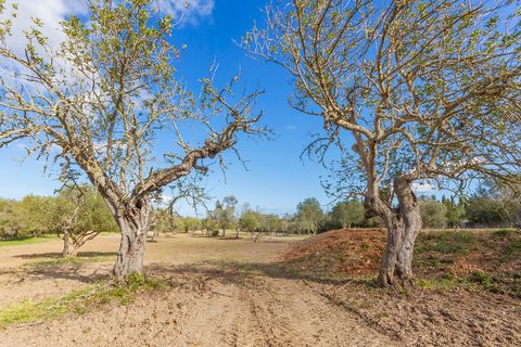 Helårsgrund i Pollenca, Mallorca, Pollenca - € 1.150.000 | Ref: POL0396 - foto 18