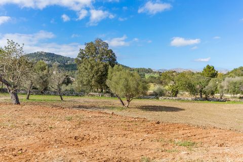 Helårsgrund i Pollenca, Mallorca, Pollenca - € 1.150.000 | Ref: POL0396 - foto 19