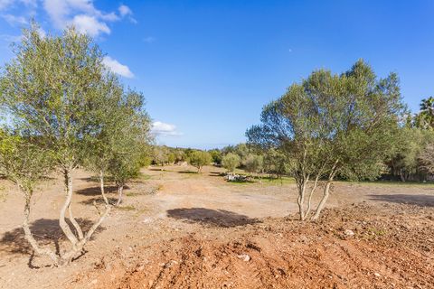 Helårsgrund i Pollenca, Mallorca, Pollenca - € 1.150.000 | Ref: POL0396 - foto 20