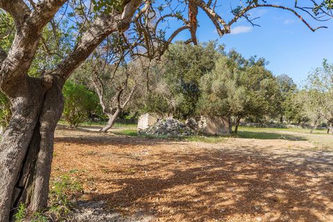 Helårsgrund i Pollenca, Mallorca, Pollenca - € 1.150.000 | Ref: POL0396 - foto 21