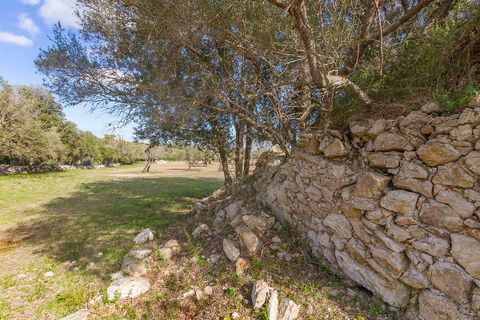Helårsgrund i Pollenca, Mallorca, Pollenca - € 1.150.000 | Ref: POL0396 - foto 22