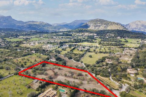 Helårsgrund i Pollenca, Mallorca, Pollenca - € 1.150.000 | Ref: POL0396 - foto 10