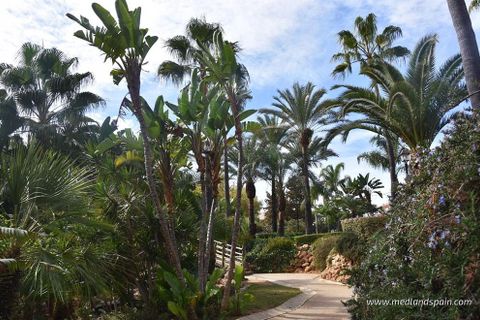 Leilighet i Fuengirola, Malaga, Fuengirola - € 446 000 | Ref: N-5599075 - foto 13