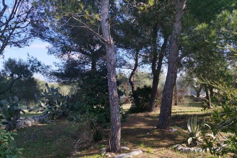 Villa i Ostuni, Brindisi, Ostuni - € 580.000 | Ref: 172651 - foto 24
