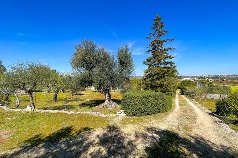 Villa i Ostuni, Brindisi, Ostuni - € 580.000 | Ref: 172651 - foto 21