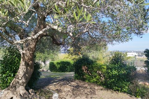 Villa i Ostuni, Brindisi, Ostuni - € 580.000 | Ref: 172651 - foto 25