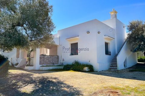 Villa i Ostuni, Brindisi, Ostuni - € 580.000 | Ref: 172651 - foto 2