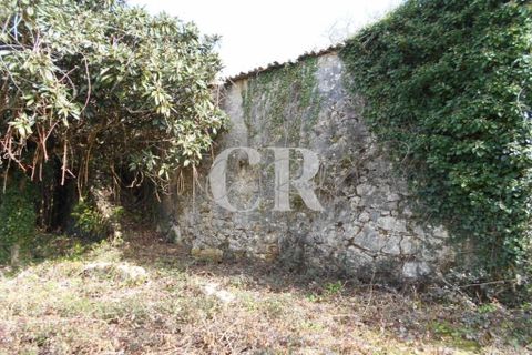 Landejendom i Ansiao, Leiria, Ansiao - € 25.000 | Ref: CR0513 - foto 3