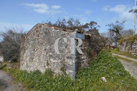 Landejendom i Ansiao, Leiria, Ansiao - € 25.000 | Ref: CR0513 - foto 4