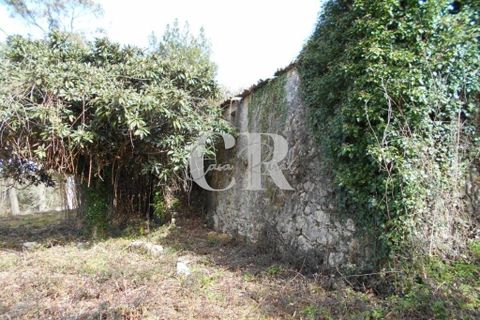 Landejendom i Ansiao, Leiria, Ansiao - € 25.000 | Ref: CR0513 - foto 5
