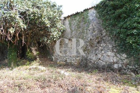 Landejendom i Ansiao, Leiria, Ansiao - € 25.000 | Ref: CR0513 - foto 6