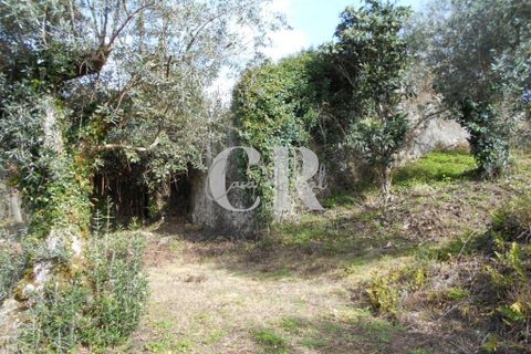 Landejendom i Ansiao, Leiria, Ansiao - € 25.000 | Ref: CR0513 - foto 7
