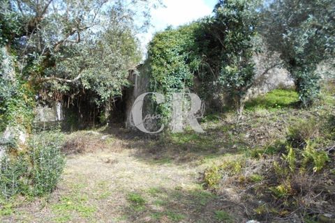 Landejendom i Ansiao, Leiria, Ansiao - € 25.000 | Ref: CR0513 - foto 8