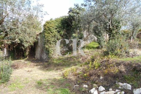 Landejendom i Ansiao, Leiria, Ansiao - € 25.000 | Ref: CR0513 - foto 9