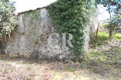 Landejendom i Ansiao, Leiria, Ansiao - € 25.000 | Ref: CR0513 - foto 10