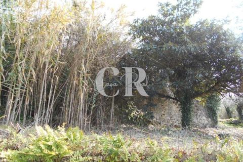 Landejendom i Ansiao, Leiria, Ansiao - € 25.000 | Ref: CR0513 - foto 11
