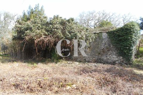 Landejendom i Ansiao, Leiria, Ansiao - € 25.000 | Ref: CR0513 - foto 12