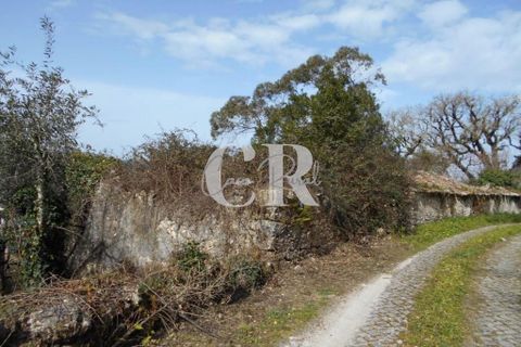 Landejendom i Ansiao, Leiria, Ansiao - € 25.000 | Ref: CR0513 - foto 13