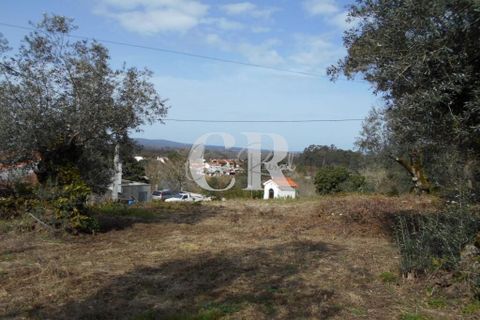 Landejendom i Ansiao, Leiria, Ansiao - € 25.000 | Ref: CR0513 - foto 15