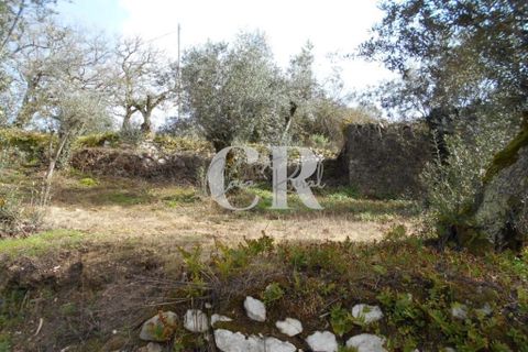Landejendom i Ansiao, Leiria, Ansiao - € 25.000 | Ref: CR0513 - foto 16