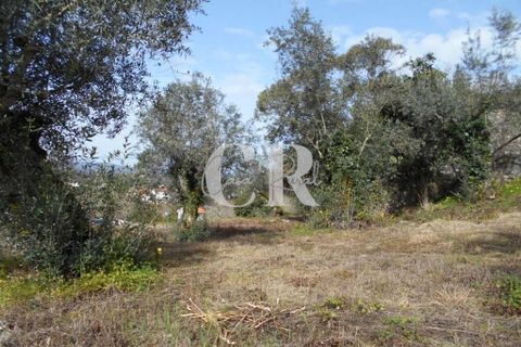 Landejendom i Ansiao, Leiria, Ansiao - € 25.000 | Ref: CR0513 - foto 17