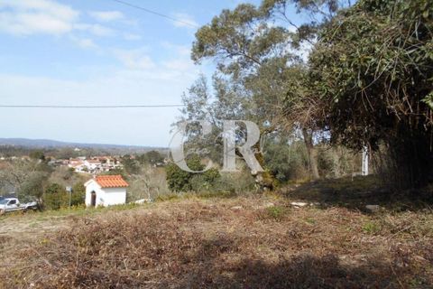 Landejendom i Ansiao, Leiria, Ansiao - € 25.000 | Ref: CR0513 - foto 18