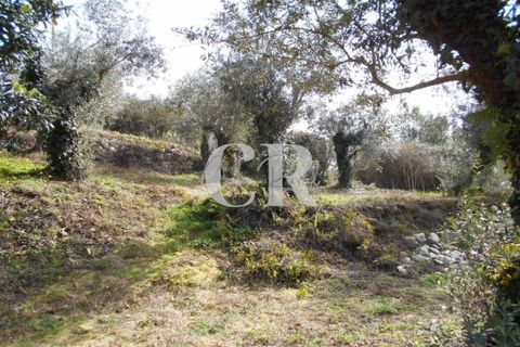Landejendom i Ansiao, Leiria, Ansiao - € 25.000 | Ref: CR0513 - foto 20