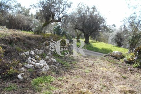 Landejendom i Ansiao, Leiria, Ansiao - € 25.000 | Ref: CR0513 - foto 21