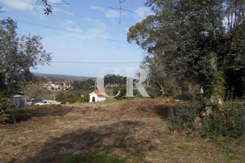 Landejendom i Ansiao, Leiria, Ansiao - € 25.000 | Ref: CR0513 - foto 22