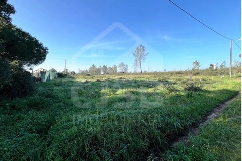 Helårsgrund i Benavente, Santarem, Benavente - € 95.000 | Ref: 501.2402 - foto 4
