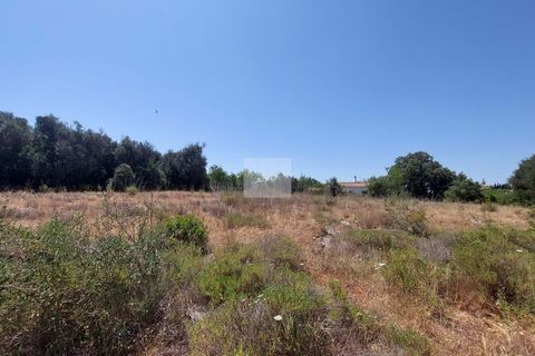 Helårsgrund i Alcantarilha, Faro, Alcantarilha - € 80.000 | Ref: 1701 - foto 2